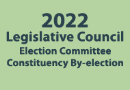 2022 Legislative Council Election Committee Constituency By-election